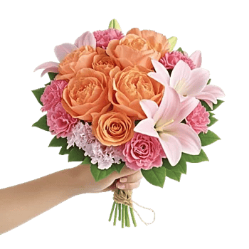 Petal Radiance Bliss