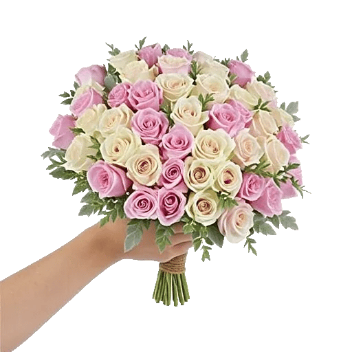 Blushing Rose Symphony