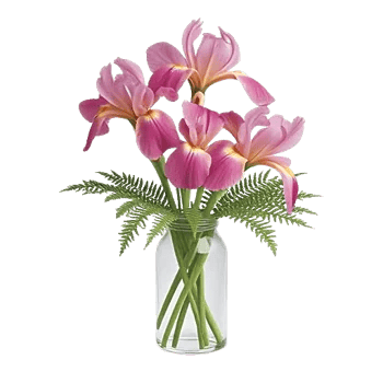 Ivory Blossom Radiance