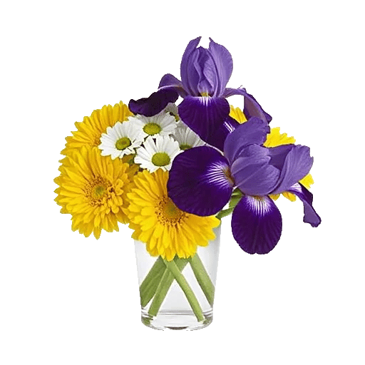 Ivory Blossom Radiance