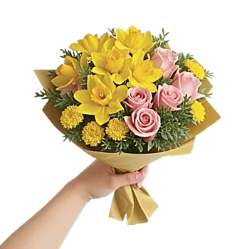 Blossom Harmony Display