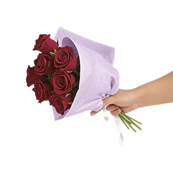 Crimson Rose Elegance