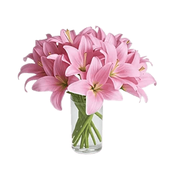 Graceful Lily Display