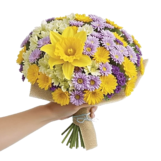 Blossom Harmony Display