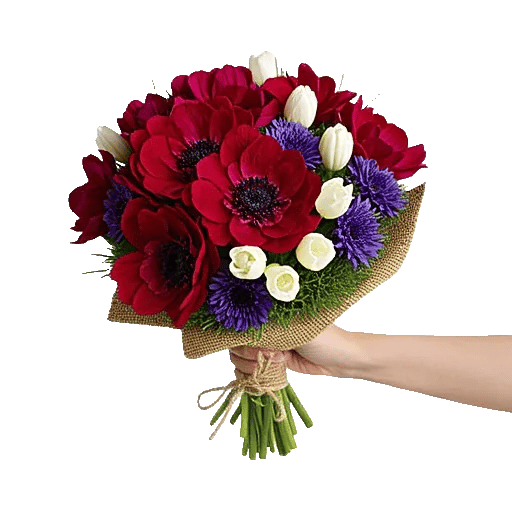 Crimson Rose Elegance