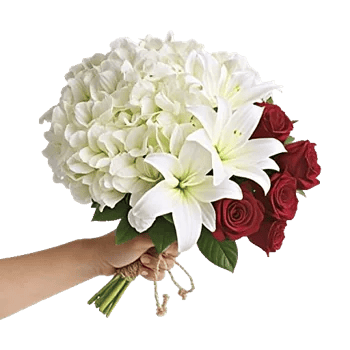 Serene Petal Harmony