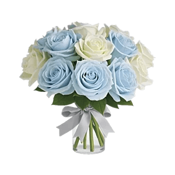 Elegant Blue Roses