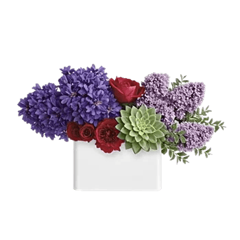 Lavender Bloom Grace