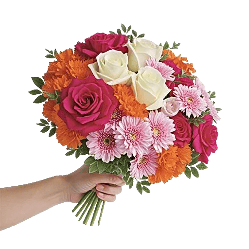 Blushing Rose Symphony