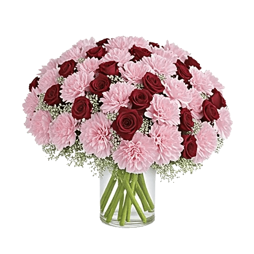Pink Pastel Roses