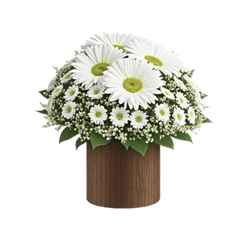 Petal Harmony Bliss