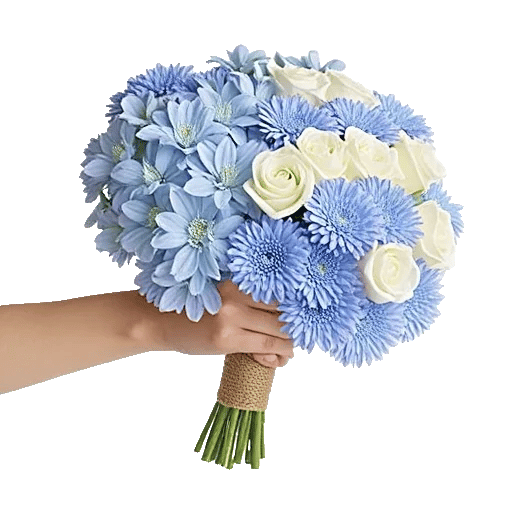 Blossom Petal Serenity