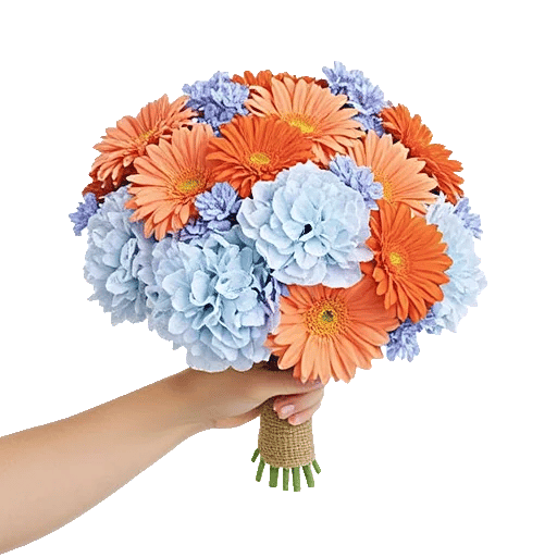 Serene Petal Harmony