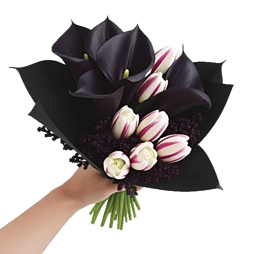 Elegant Calla Lilies