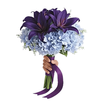 Serene Petal Harmony