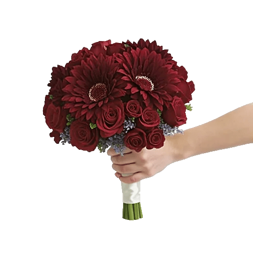 Ruby Petal Cascade