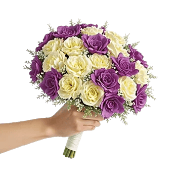 Pastel Pink Roses