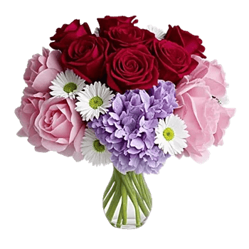 Petal Radiance Bliss