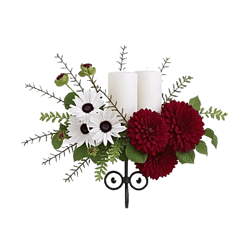 Elegant Calla Lilies