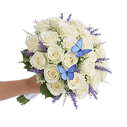 Blushing Rose Symphony