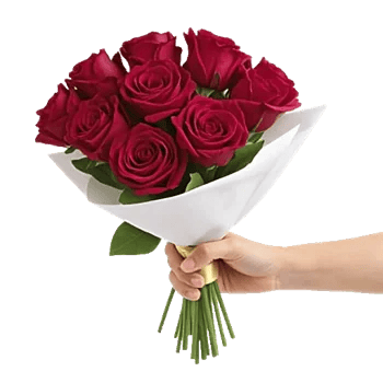 Crimson Rose Elegance