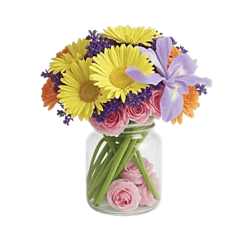 Petal Radiance Bliss