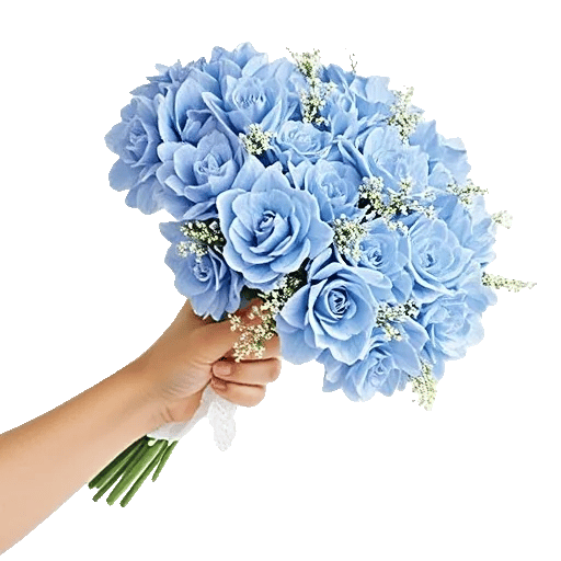 Sapphire Bloom Whisper