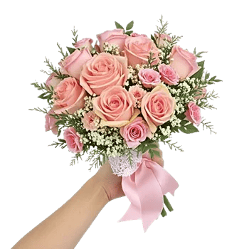 Blushing Rose Symphony