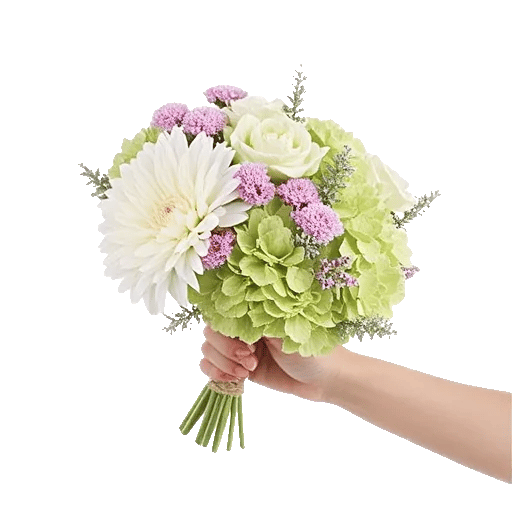 Ivory Blossom Radiance