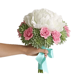 Peony Petal Harmony