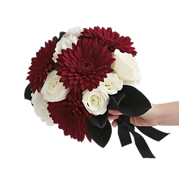 Elegant Calla Lilies