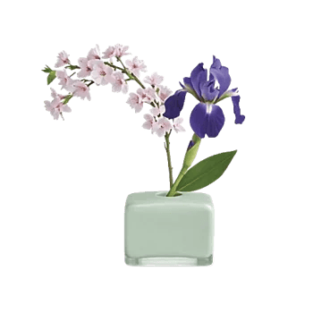 Ivory Blossom Radiance