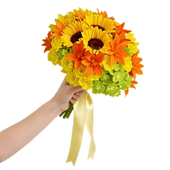 Radiant Bloom Cascade