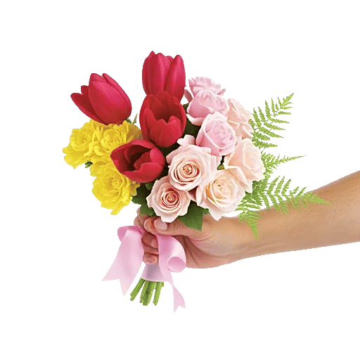 Scarlet Tulip Splendor