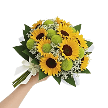 Blossom Petal Serenity