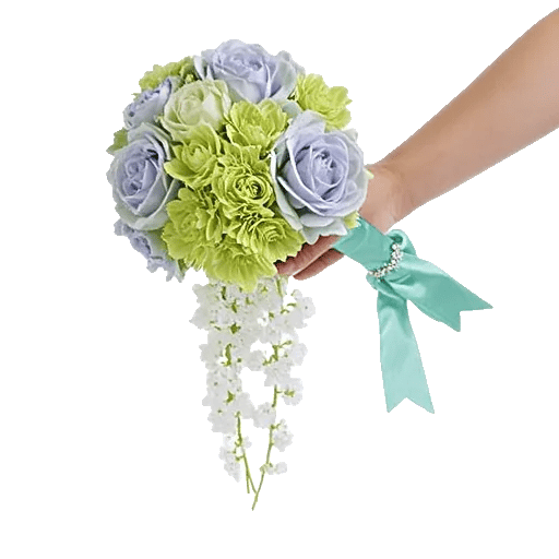 Serene Petal Harmony