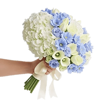 Serene Petal Harmony