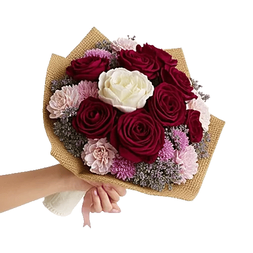 Blushing Rose Symphony