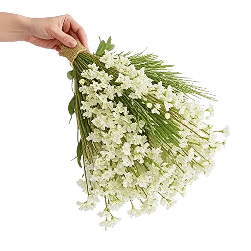 Delicate Petal Cascade