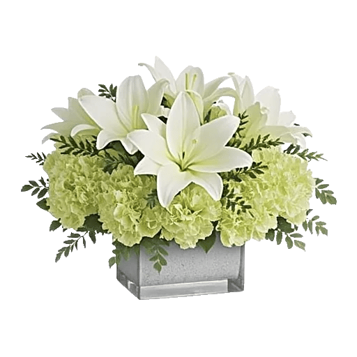 Graceful Lily Display