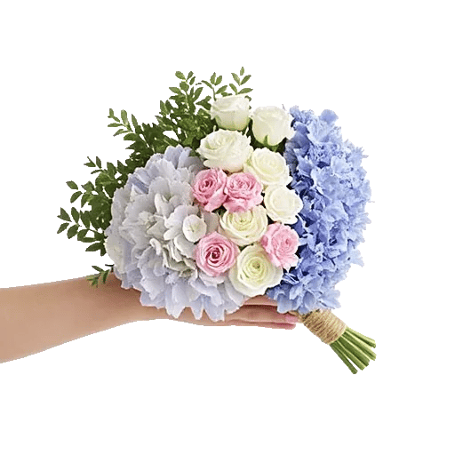 Sapphire Bloom Whisper