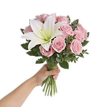 Minimalist White Orchids