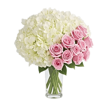 Ivory Blossom Radiance