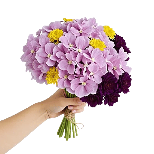 Serene Petal Harmony