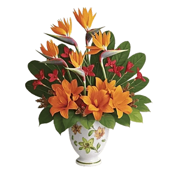 Tropical Sunflower Burst