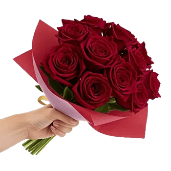 Crimson Rose Elegance