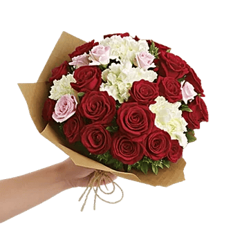 Crimson Rose Elegance