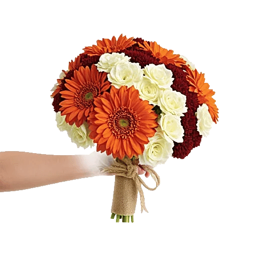 Radiant Bloom Cascade