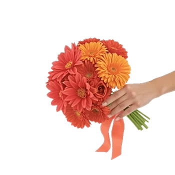 Coral Blossom Harmony