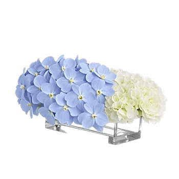 Orchid Bloom Cascade